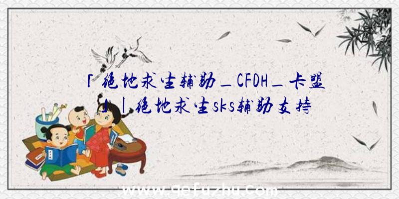 「绝地求生辅助_CFDH_卡盟」|绝地求生sks辅助支持